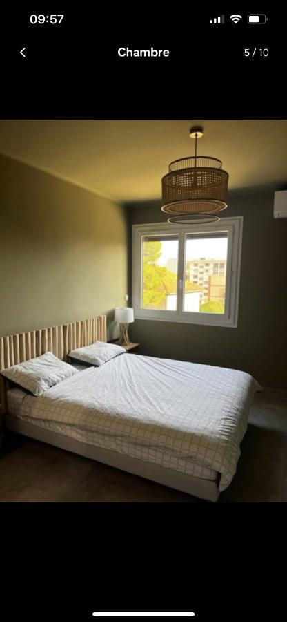 Appartement Spacieux, Proche Centre Ville. Аячо Екстериор снимка